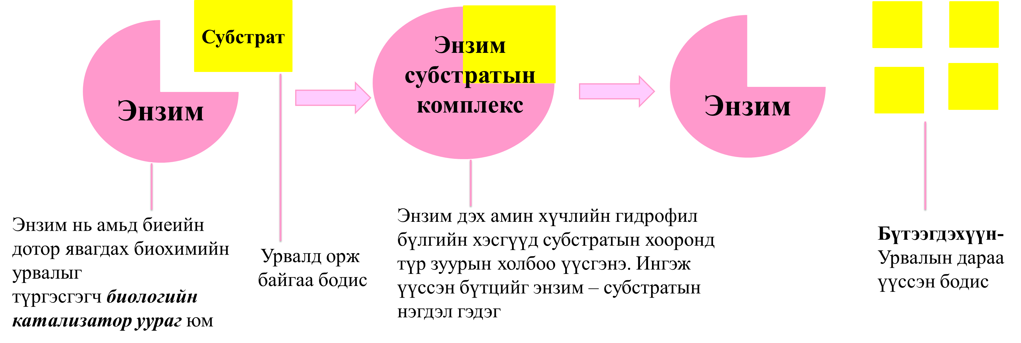 Мэдлээ | Цахим контент